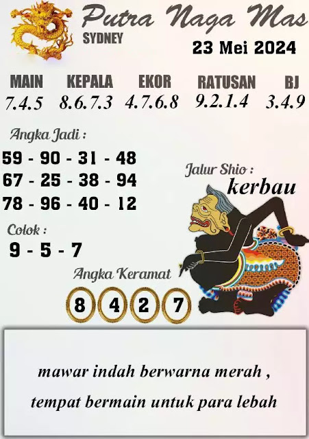 SYAIR SDY VIP